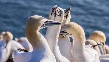 世界杯手机高清观看平台-于睿被诊断为轻微脑震荡 解释自己导致丢球全过程